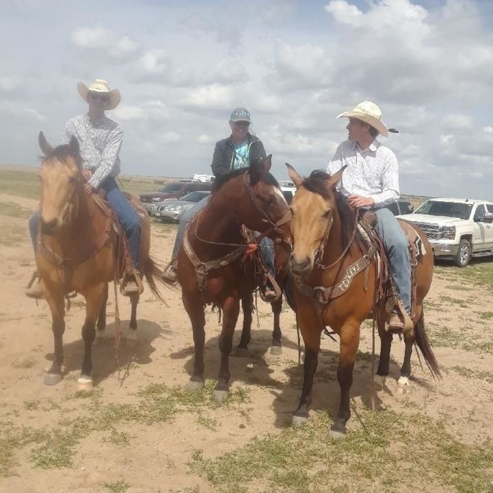 Meet your Posher, Sherrie